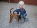 Katzen sind auch verpflichtet